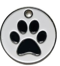 61 RxDGNl5S. AC SX425 (1).jpg