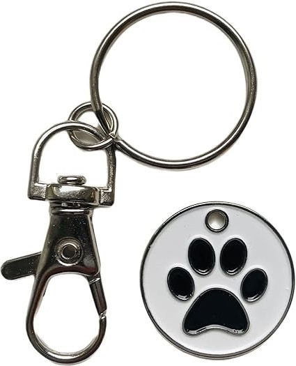 61 RxDGNl5S. AC SX425 .jpg