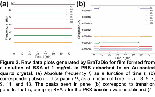 BraTaDio paper figure 2.png