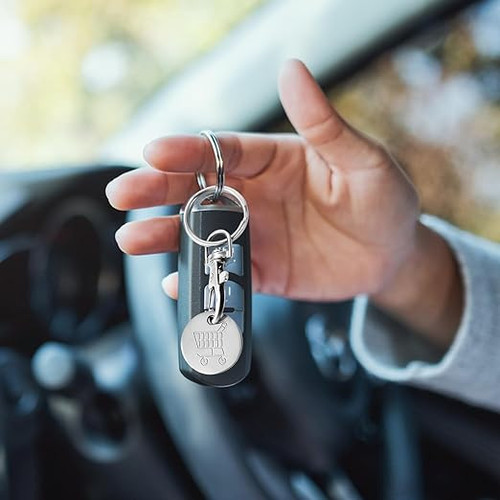 61hF1ZM2LWL. AC SX522 .jpg