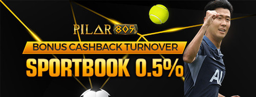 pilar805 promo6.jpg