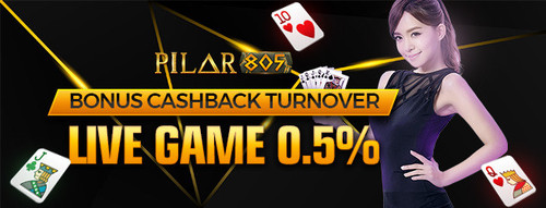 pilar805 promo4.jpg