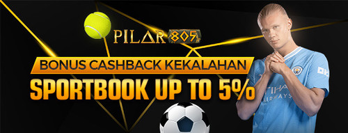 pilar805 promo1.jpg