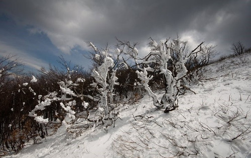 222784 1685076809944 1624523 n.jpg