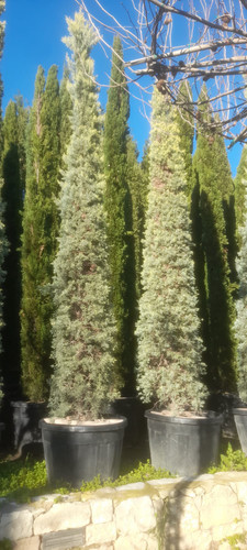 WhatsApp Image 2024 01 22 at 16.16.34 fb17f031.jpg