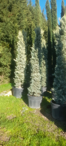 WhatsApp Image 2024 01 22 at 16.16.34 5324a081.jpg