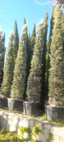 WhatsApp Image 2024 01 22 at 16.16.35 0f07865f.jpg