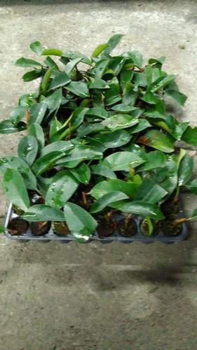 WhatsApp Image 2024 01 17 at 16.40.44 86367290.jpg