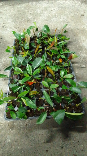 WhatsApp Image 2024 01 17 at 16.40.43 e84b6847.jpg