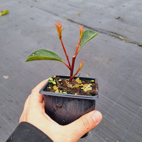 WhatsApp Image 2024 01 17 at 16.41.07 ae169267.jpg