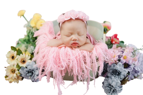 IMG 20240122 WA0011 removebg preview.png