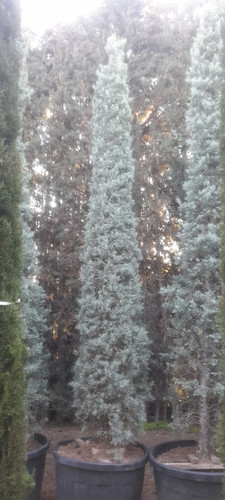 WhatsApp Image 2024 01 22 at 16.16.33 9bf64043.jpg