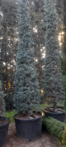 WhatsApp Image 2024 01 22 at 16.16.34 8db981e0.jpg