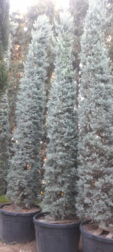 WhatsApp Image 2024 01 22 at 16.16.33 dce0c53d.jpg