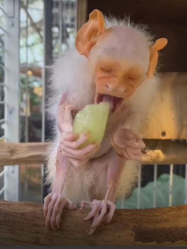 IMG 20240121 213857.jpg