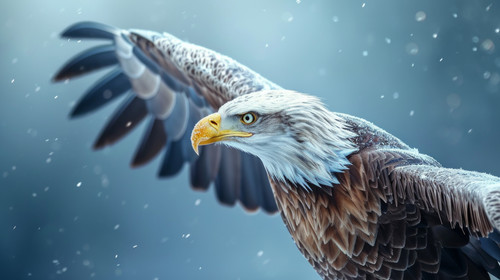 eagle pastel color illustration wallpaper white border edges amazing focus ar 169 00024 02.jpg