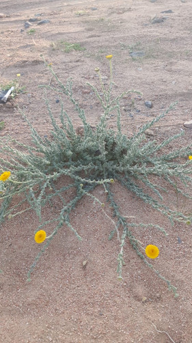 images%2Fimage 1705761221854.jpg