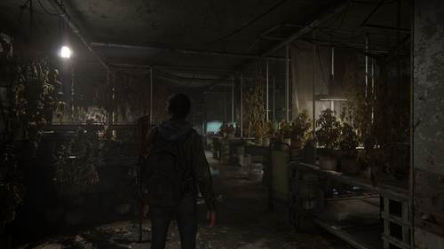 The Last of Us™ Part II Remastered 20240120140606.png