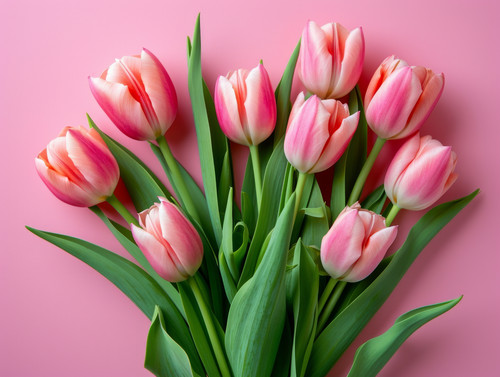 Beautiful composition spring flowers Bouquet of pink tulips flowers on pastel pink background Valent.jpg