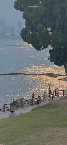 185C1B9F 98F4 4C74 BF64 4A8B67957917.jpg