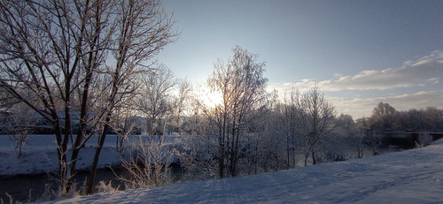 IMG 20240119 092313.jpg