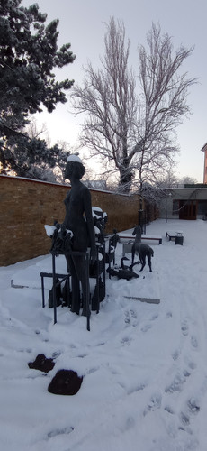 IMG 20240119 084121.jpg