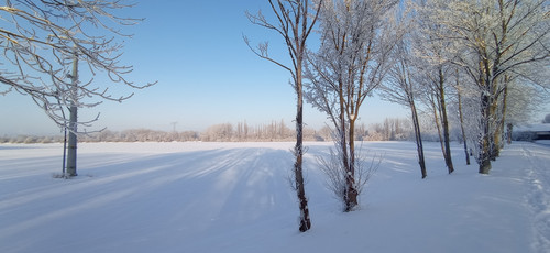 IMG 20240119 092737.jpg