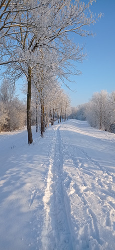 IMG 20240119 092306.jpg