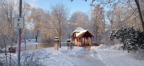 IMG 20240119 091040.jpg