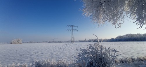 IMG 20240119 093917.jpg