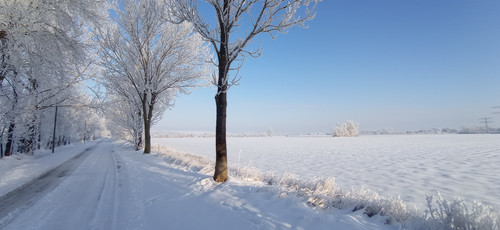 IMG 20240119 093922.jpg