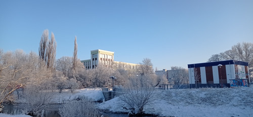 IMG 20240119 093311.jpg