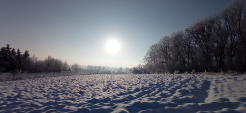 IMG 20240119 095643.jpg