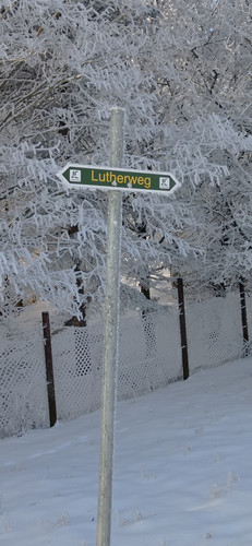 IMG 20240119 095106.jpg