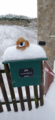 IMG 20240119 113505.jpg