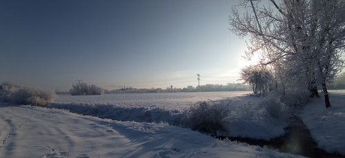 IMG 20240119 094239.jpg