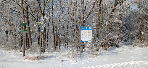 IMG 20240119 102327.jpg