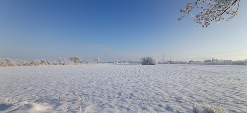 IMG 20240119 094130.jpg