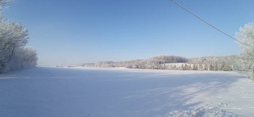 IMG 20240119 094713.jpg