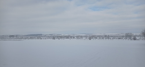 IMG 20240119 120016.jpg