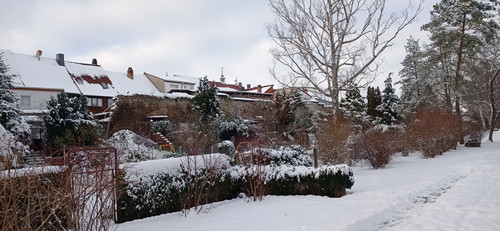 IMG 20240119 142801.jpg