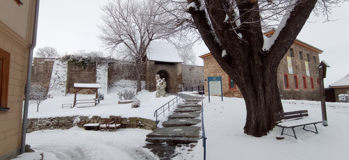 IMG 20240119 113147.jpg