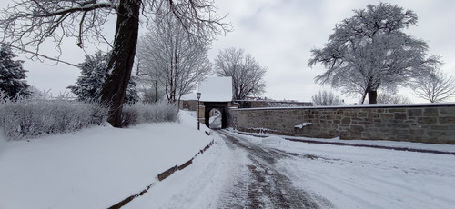 IMG 20240119 113833.jpg