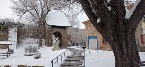 IMG 20240119 113141.jpg