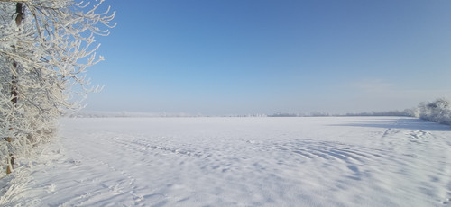 IMG 20240119 094235.jpg