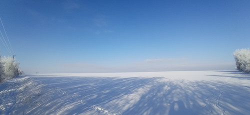 IMG 20240119 100608.jpg