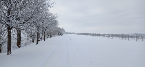 IMG 20240119 120714.jpg