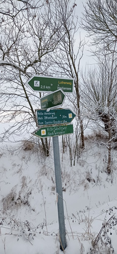 IMG 20240119 122531.jpg