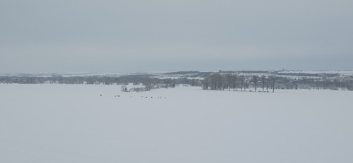 IMG 20240119 123305.jpg