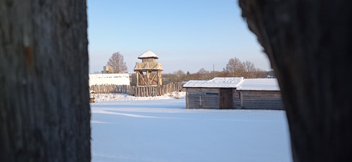 IMG 20240119 152841.jpg